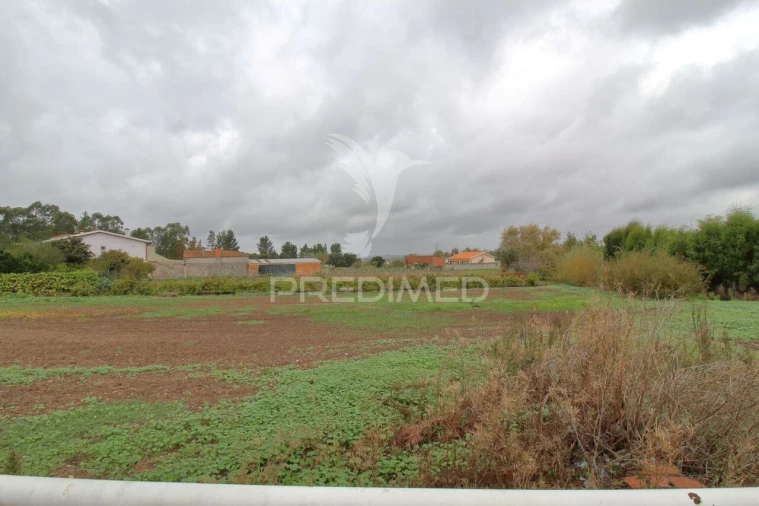 Terreno para Venda em Oiã Foto 4