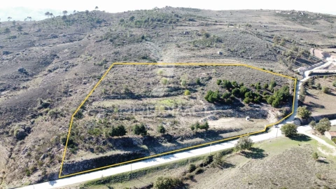 Terreno para Venda em Guarda
