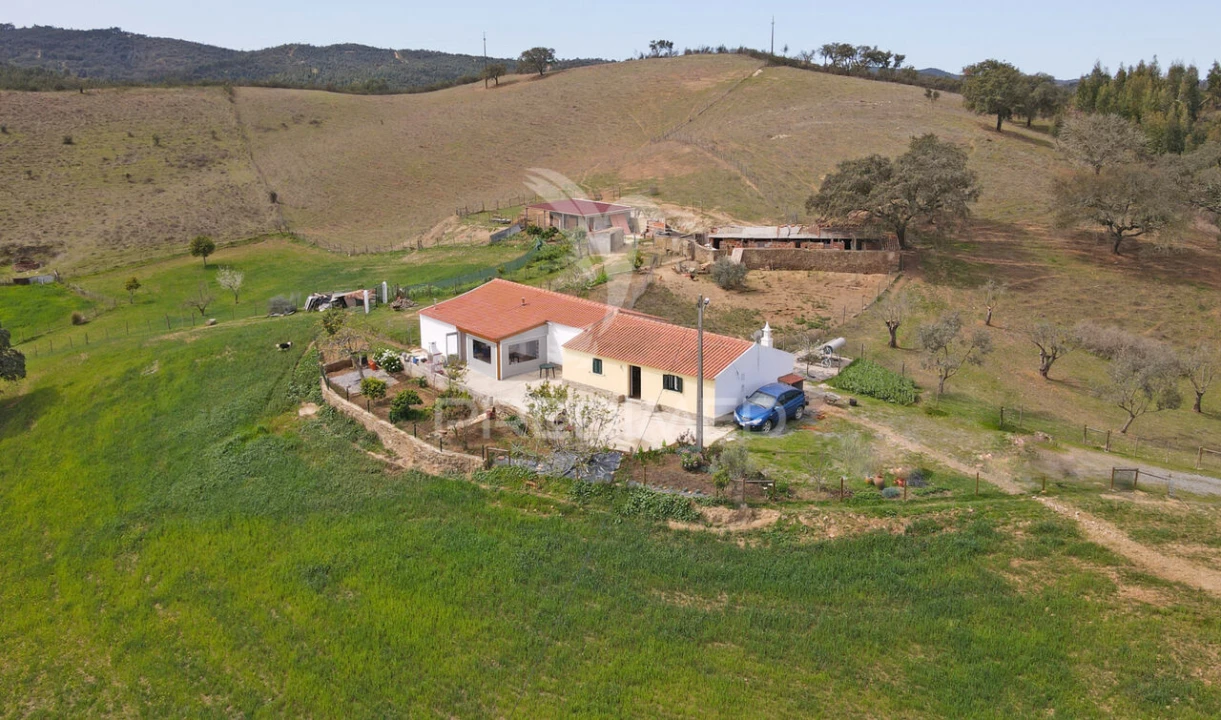 Quinta T4 para Venda em São Martinho das Amoreiras Foto 5