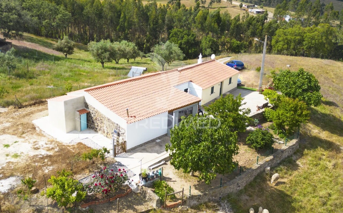 Quinta T4 para Venda em São Martinho das Amoreiras Foto 7