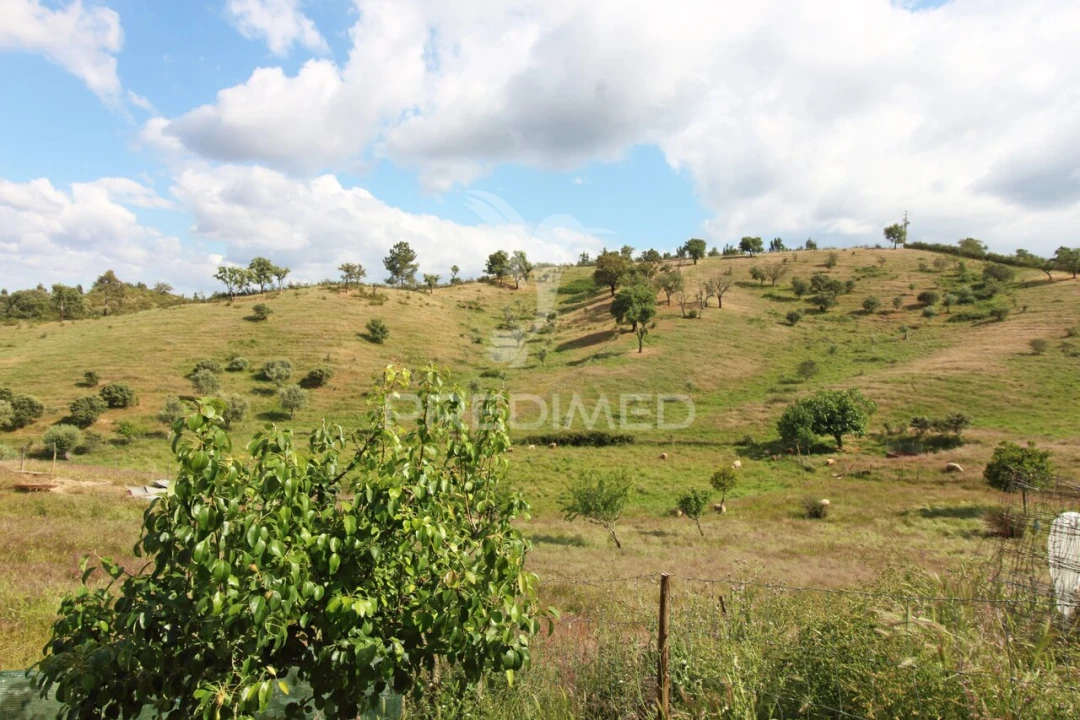 Quinta T4 para Venda em São Martinho das Amoreiras Foto 31