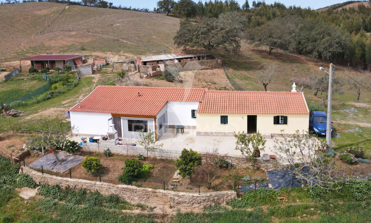 Quinta T4 para Venda em São Martinho das Amoreiras Foto 4