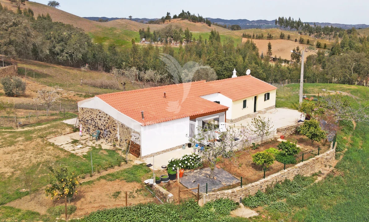 Quinta T4 para Venda em São Martinho das Amoreiras Foto 2