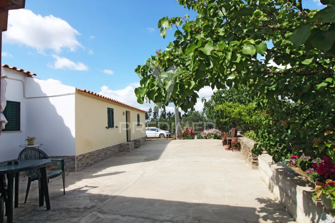 Quinta T4 para Venda em São Martinho das Amoreiras Foto 3
