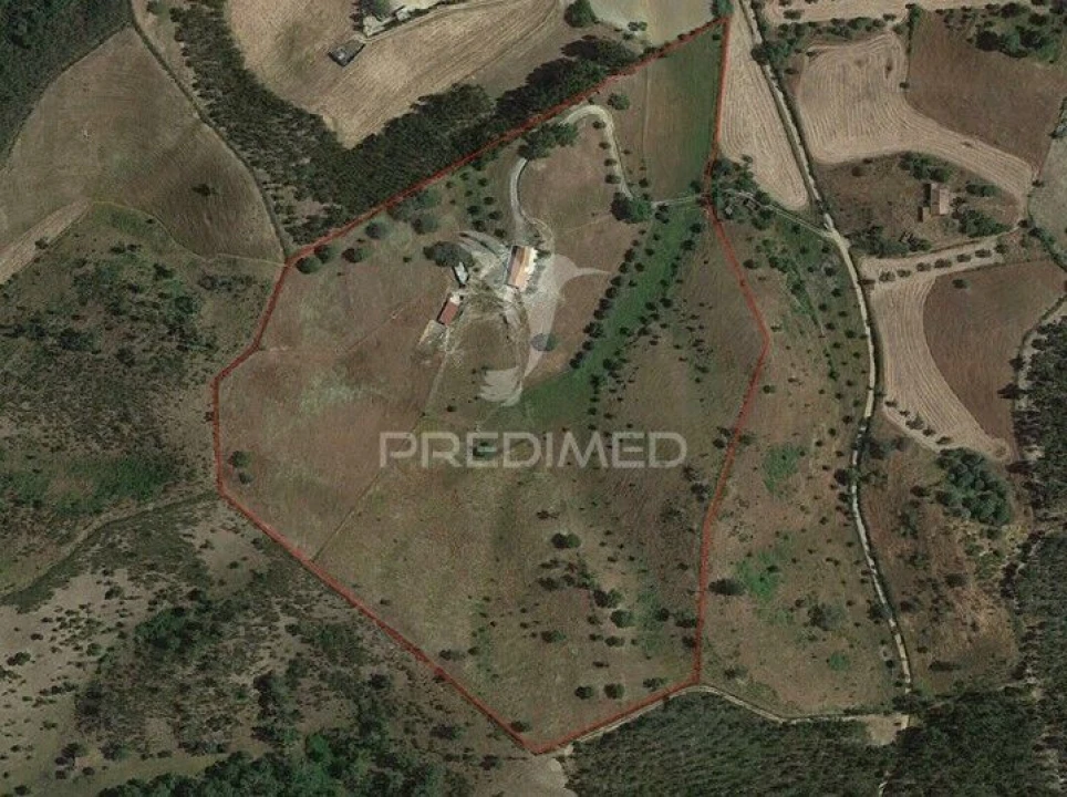 Quinta T4 para Venda em São Martinho das Amoreiras Foto 25