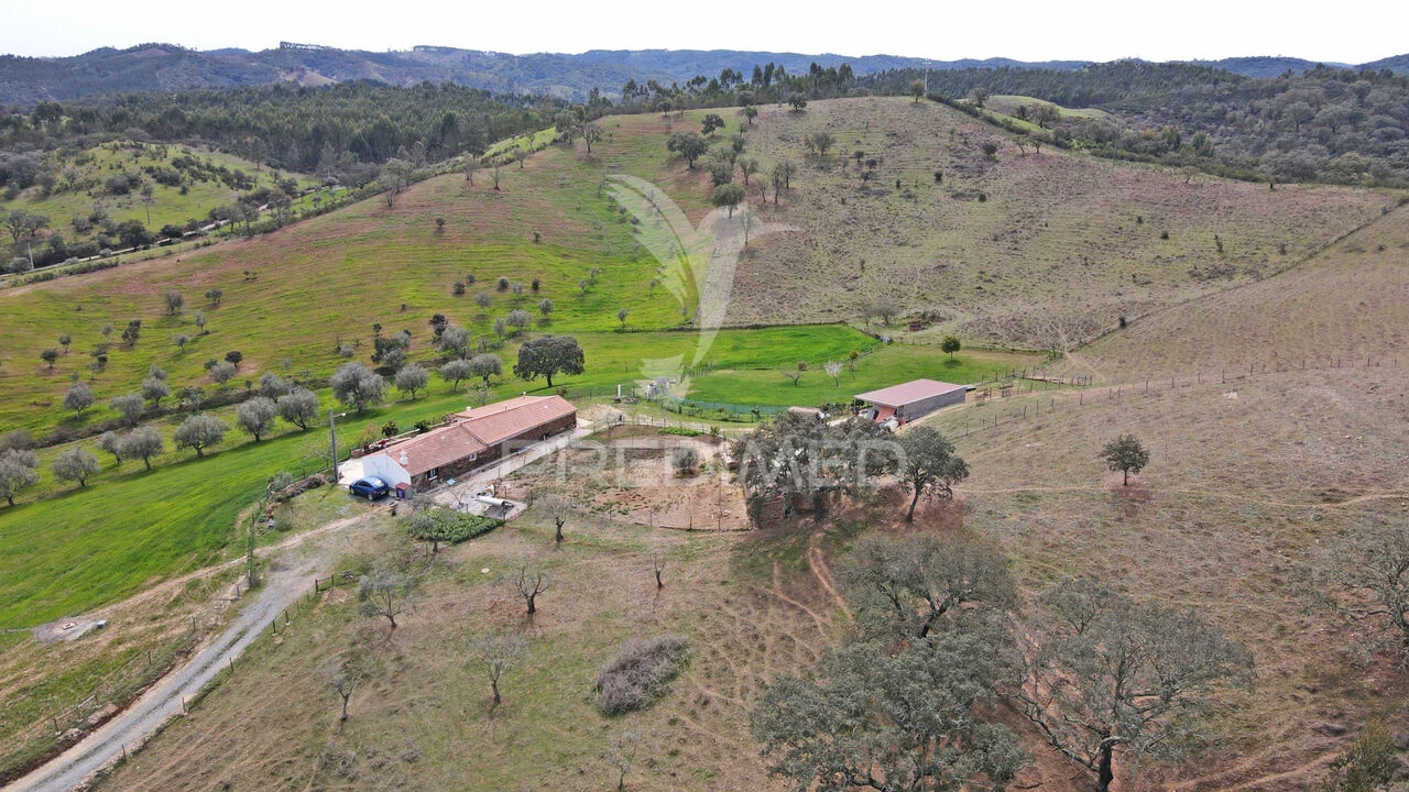 Quinta T4 para Venda em São Martinho das Amoreiras Foto 9