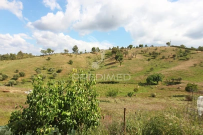 Quinta T4 para Venda em São Martinho das Amoreiras