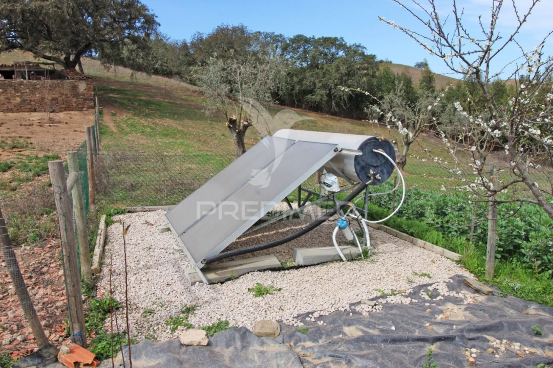 Quinta T4 para Venda em São Martinho das Amoreiras Foto 24