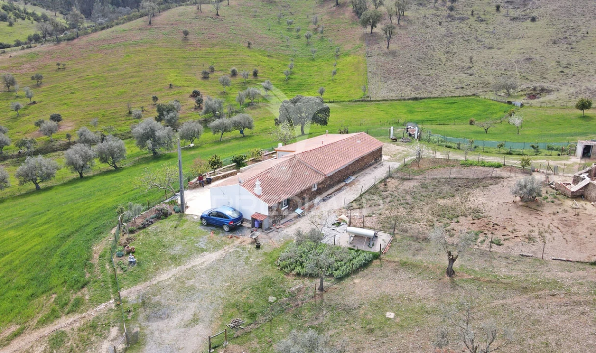 Quinta T4 para Venda em São Martinho das Amoreiras Foto 8