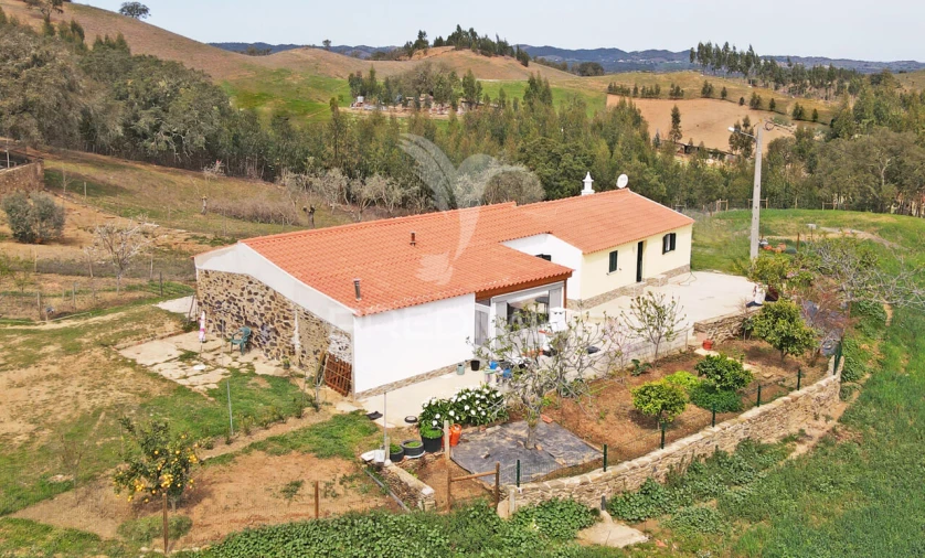 Quinta T4 para Venda em São Martinho das Amoreiras Foto 2