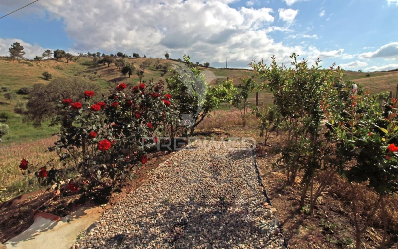 Quinta T4 para Venda em São Martinho das Amoreiras Foto 32