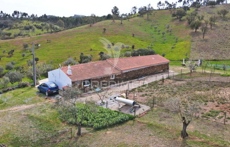 Quinta T4 para Venda em São Martinho das Amoreiras Foto 10