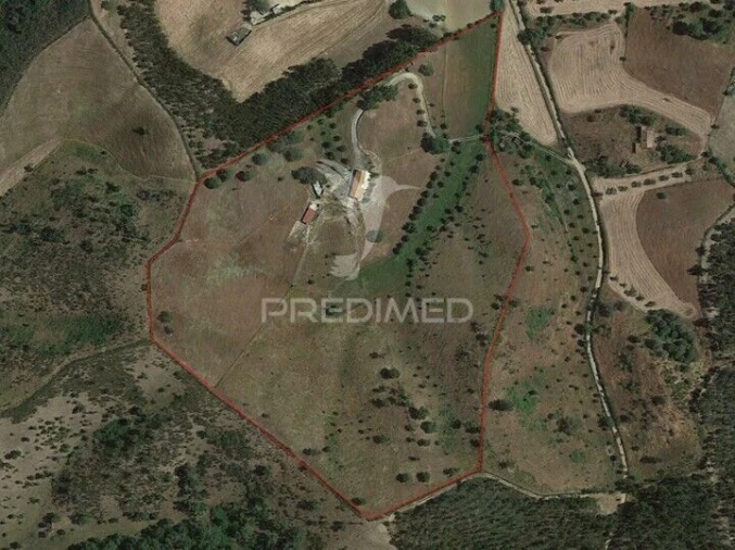 Quinta T4 para Venda em São Martinho das Amoreiras Foto 25