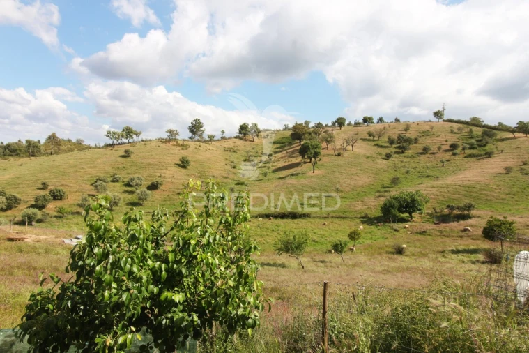 Quinta T4 para Venda em São Martinho das Amoreiras Foto 30