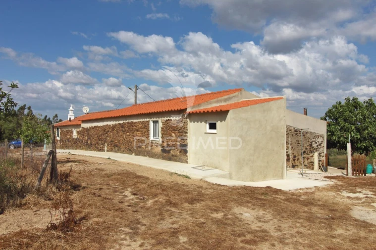 Quinta T4 para Venda em São Martinho das Amoreiras Foto 2