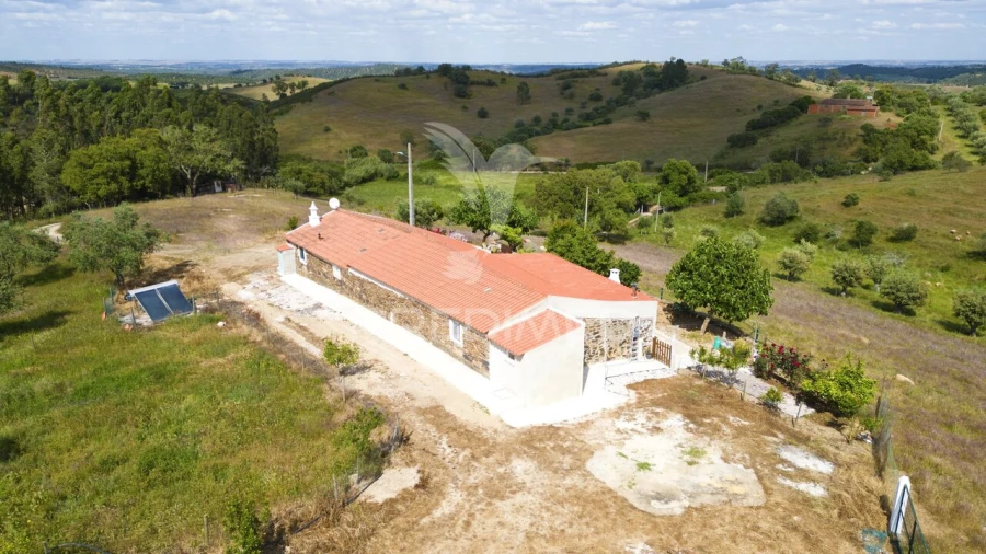 Quinta T4 para Venda em São Martinho das Amoreiras Foto 8