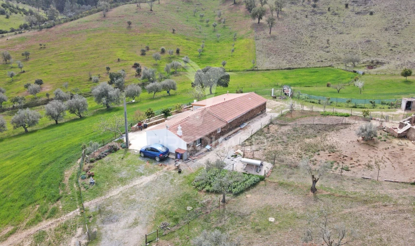 Quinta T4 para Venda em São Martinho das Amoreiras Foto 8