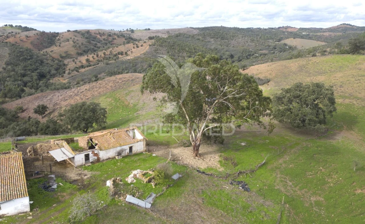 Quinta T0 para Venda em Luzianes-Gare Foto 7