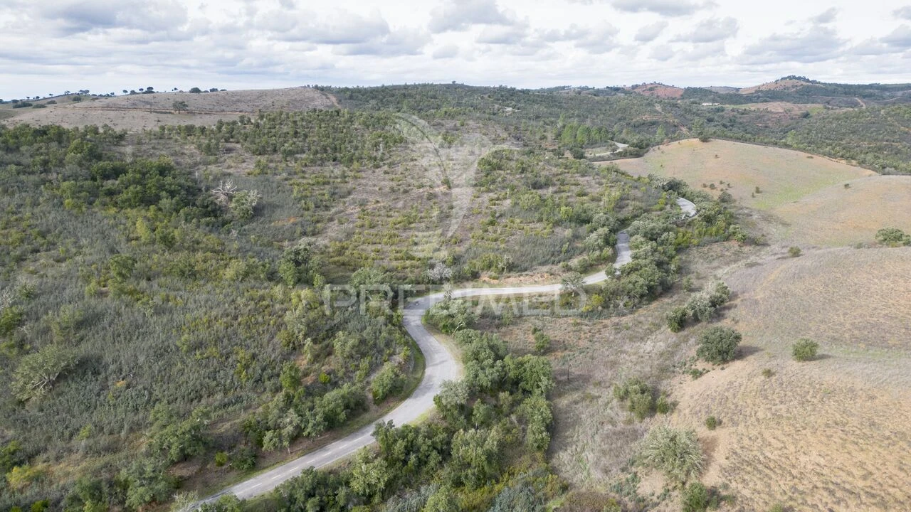 Quinta T0 para Venda em Luzianes-Gare Foto 18