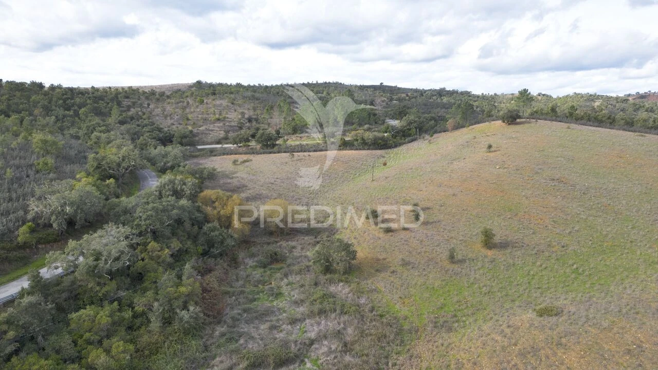 Quinta T0 para Venda em Luzianes-Gare Foto 19