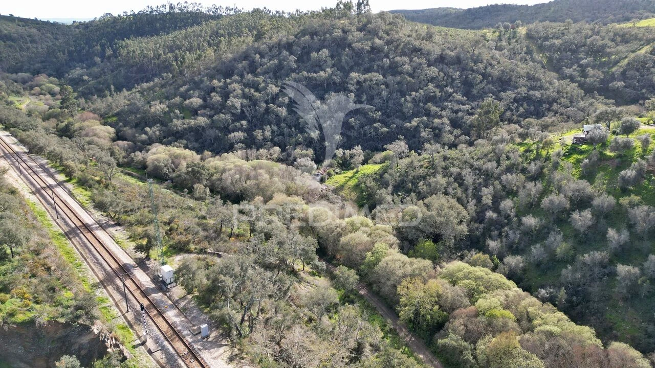 Quinta T0 para Venda em Luzianes-Gare Foto 28