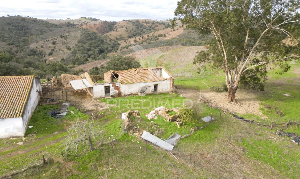 Quinta T0 para Venda em Luzianes-Gare Foto 1
