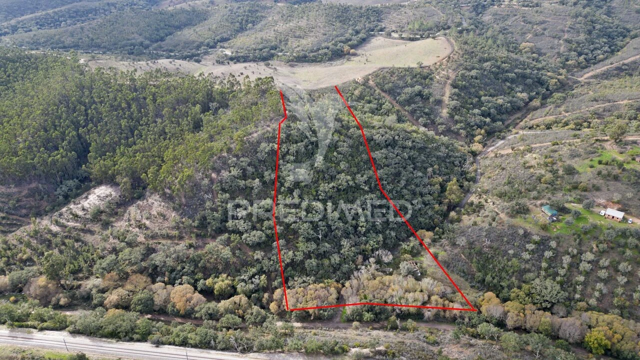 Quinta T0 para Venda em Luzianes-Gare Foto 24