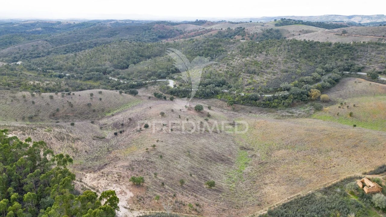 Quinta T0 para Venda em Luzianes-Gare Foto 17