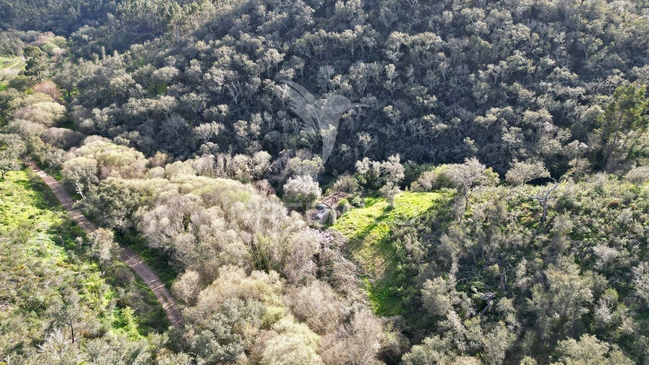 Quinta T0 para Venda em Luzianes-Gare Foto 25