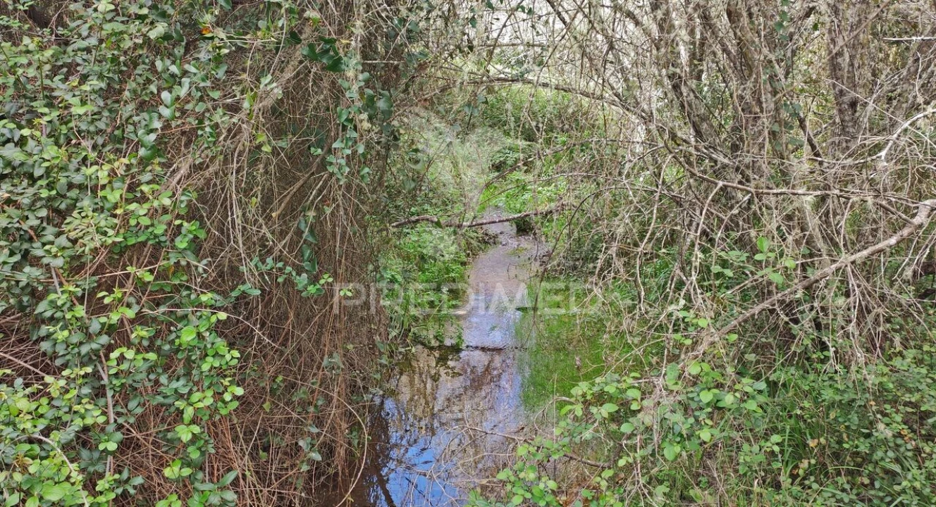 Quinta T0 para Venda em Luzianes-Gare Foto 29