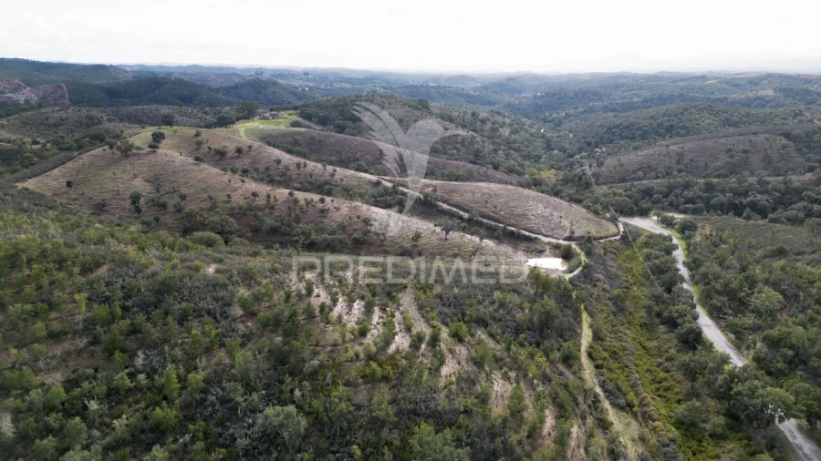 Quinta T0 para Venda em Luzianes-Gare Foto 15