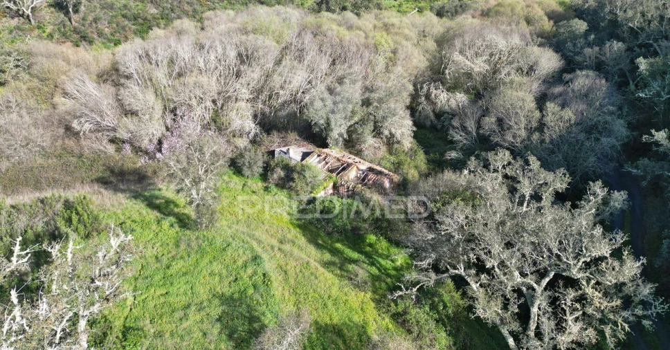 Quinta T0 para Venda em Luzianes-Gare Foto 27