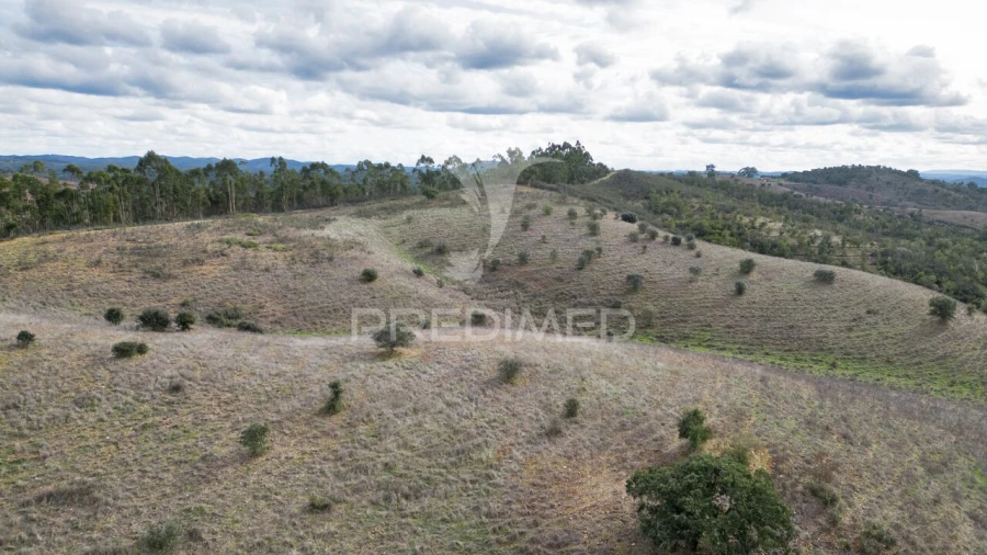 Quinta T0 para Venda em Luzianes-Gare Foto 20