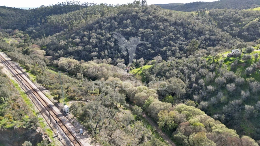 Quinta T0 para Venda em Luzianes-Gare Foto 28