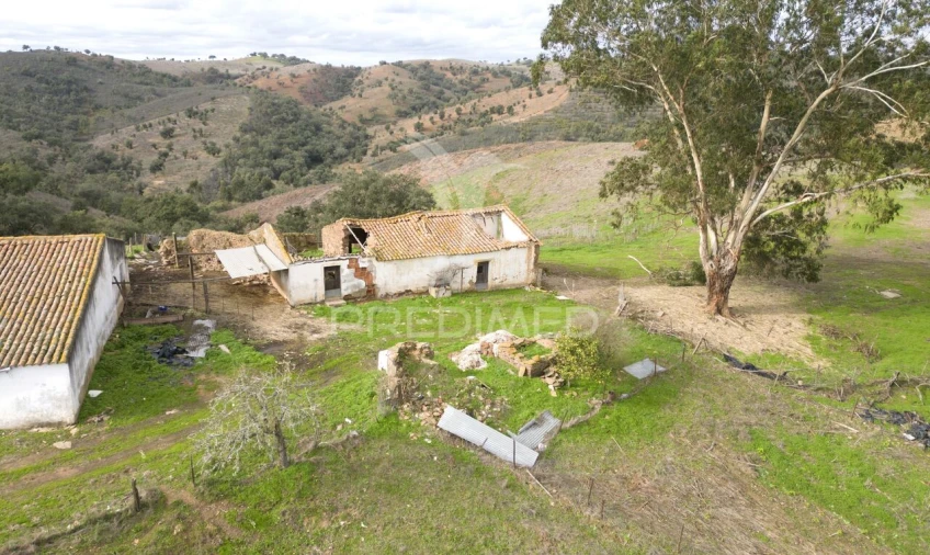 Quinta T0 para Venda em Luzianes-Gare Foto 1