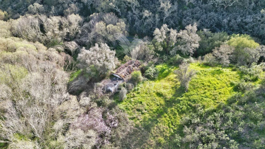 Quinta T0 para Venda em Luzianes-Gare Foto 26