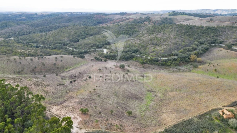 Quinta T0 para Venda em Luzianes-Gare Foto 17