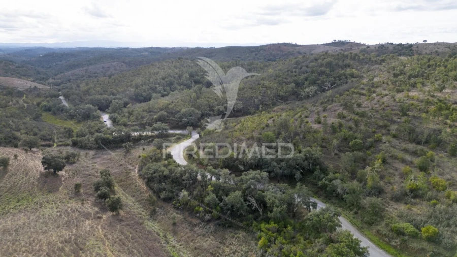 Quinta T0 para Venda em Luzianes-Gare Foto 23