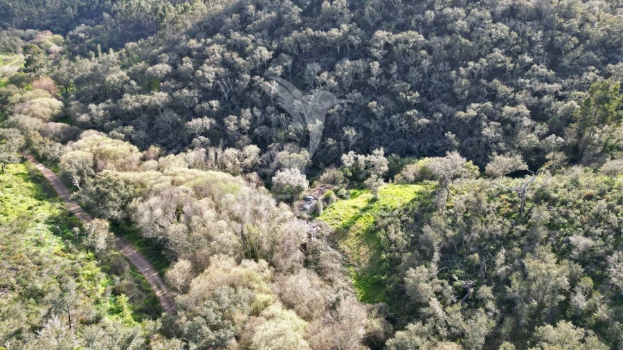 Quinta T0 para Venda em Luzianes-Gare Foto 25