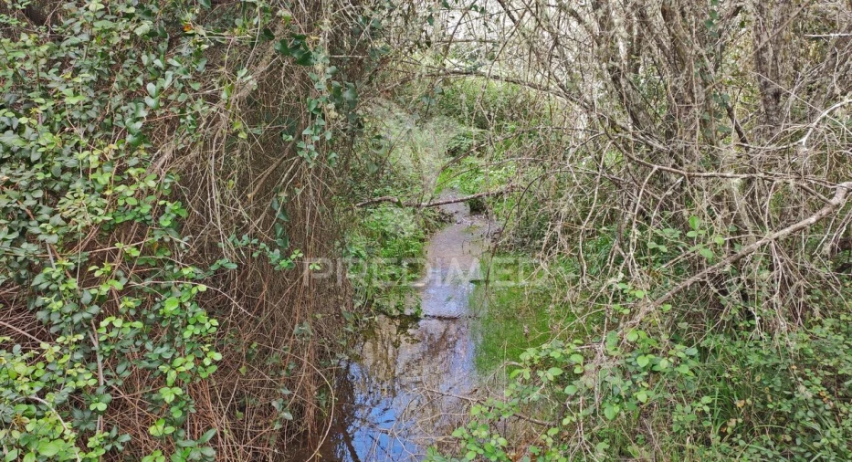 Quinta T0 para Venda em Luzianes-Gare Foto 29