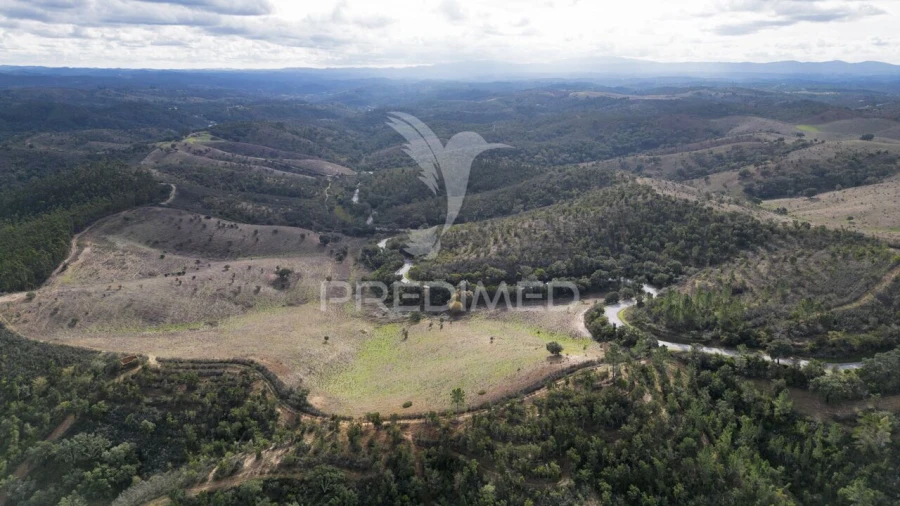 Quinta T0 para Venda em Luzianes-Gare Foto 4