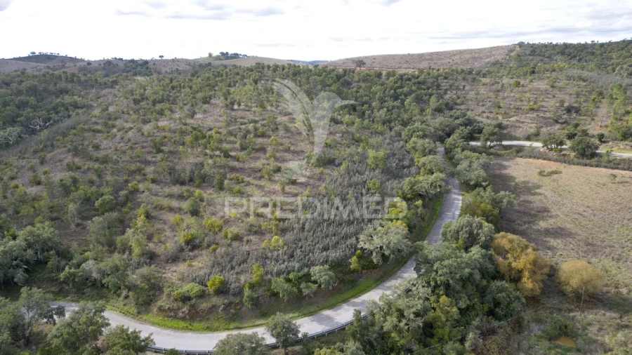 Quinta T0 para Venda em Luzianes-Gare Foto 21