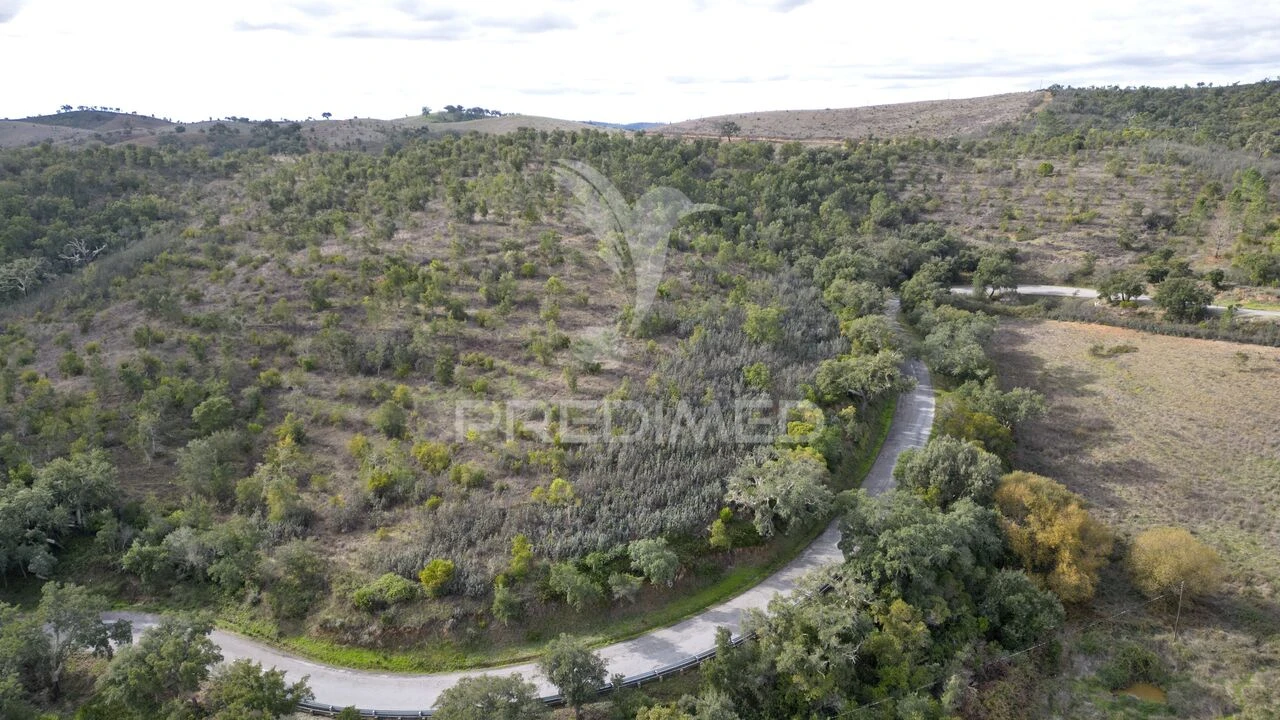 Quinta T0 para Venda em Luzianes-Gare Foto 21