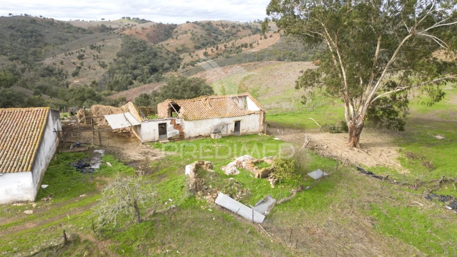 Quinta T0 para Venda em Luzianes-Gare