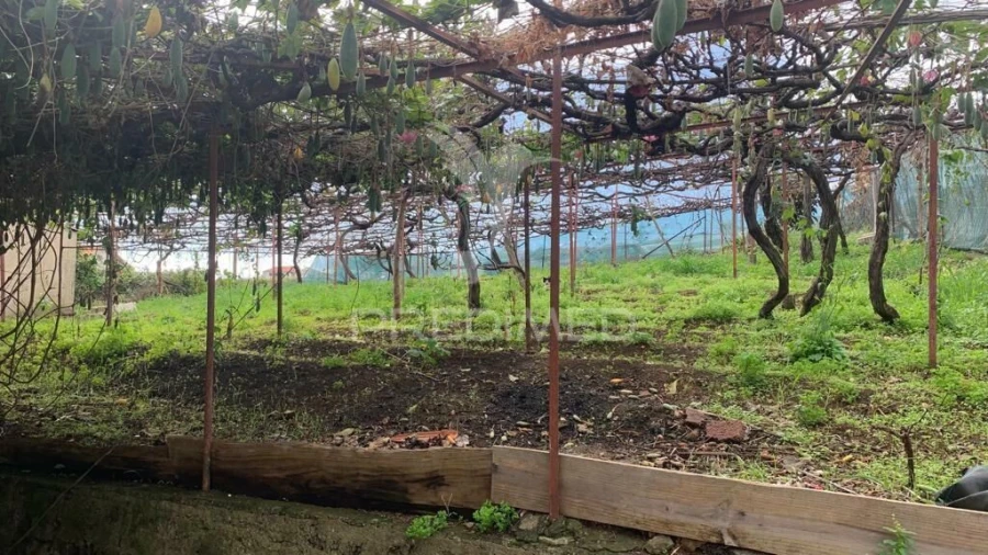 Terreno para Venda em Canhas Foto 19