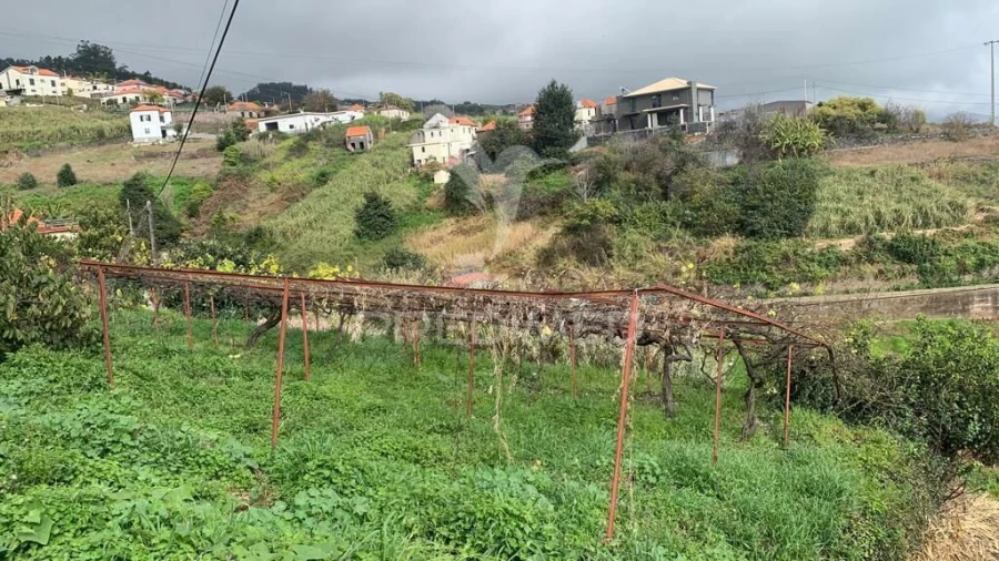 Terreno para Venda em Canhas Foto 10
