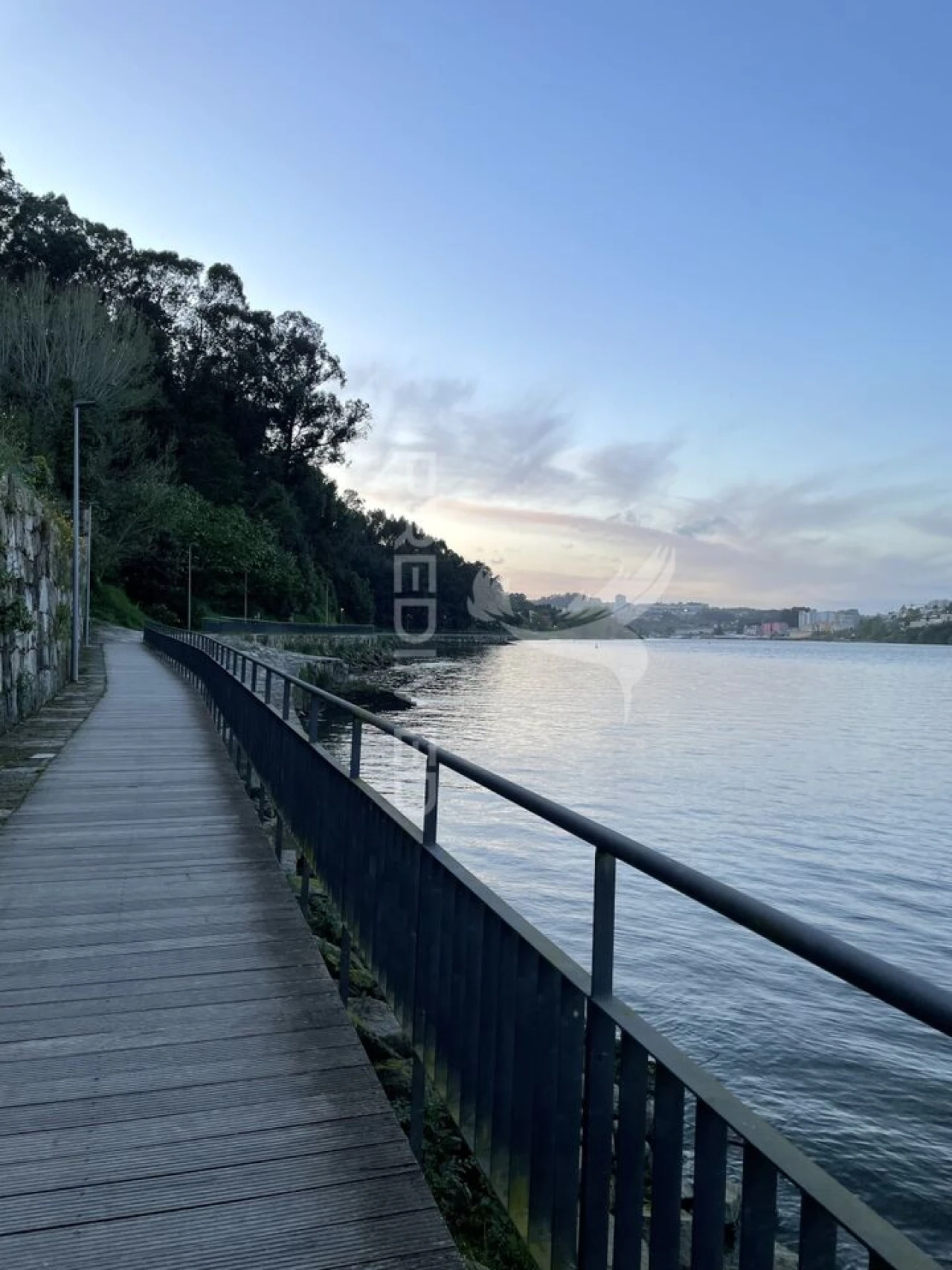 Terreno para Venda em Oliveira do Douro Foto 7