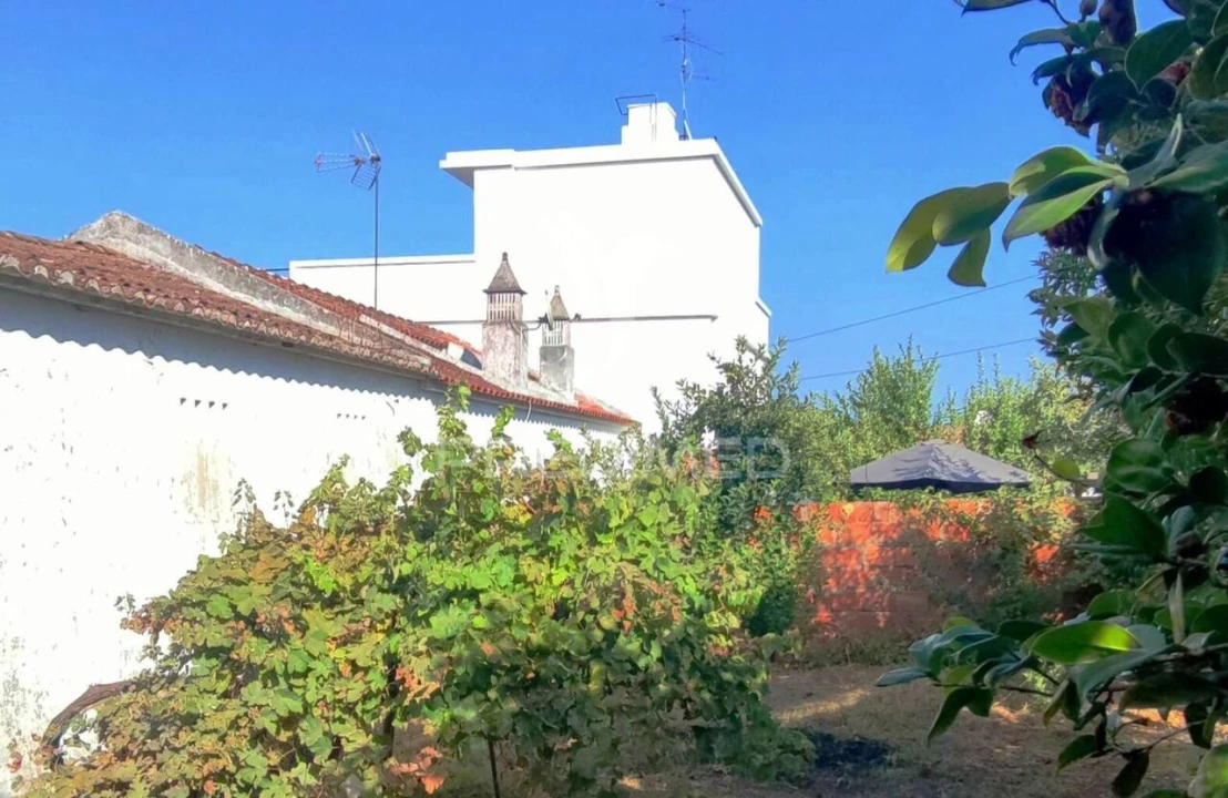Loja para Venda em São Teotónio Foto 9