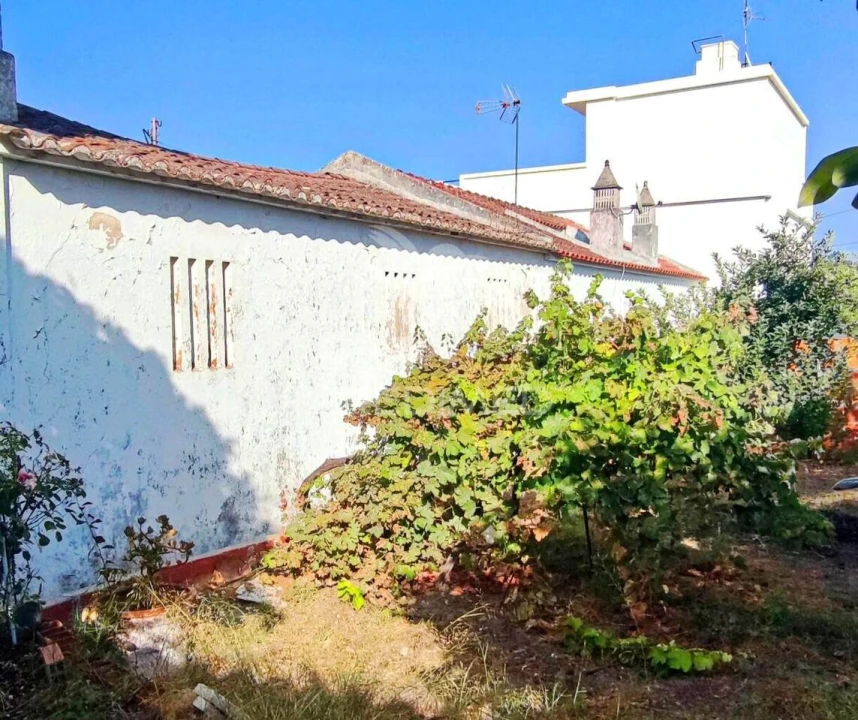 Loja para Venda em São Teotónio Foto 8