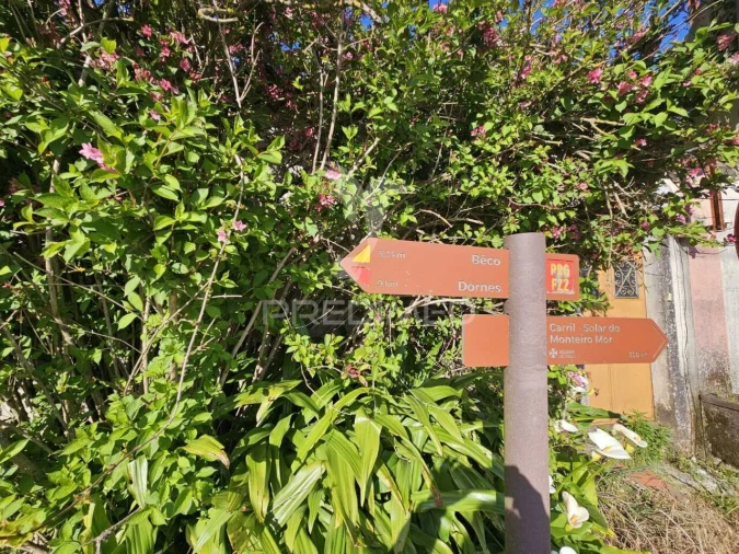 Moradia T2 para Venda em Nossa Senhora do Pranto Foto 4